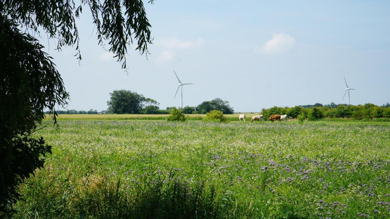 Ferienhaus Achtern Diek Emmelsbüll-Horsbüll Exteriér fotografie